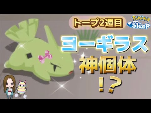 【ポケスリ】ヨーギラスまた来た!この子で厳選終了…⁉【ポケモンスリープ】