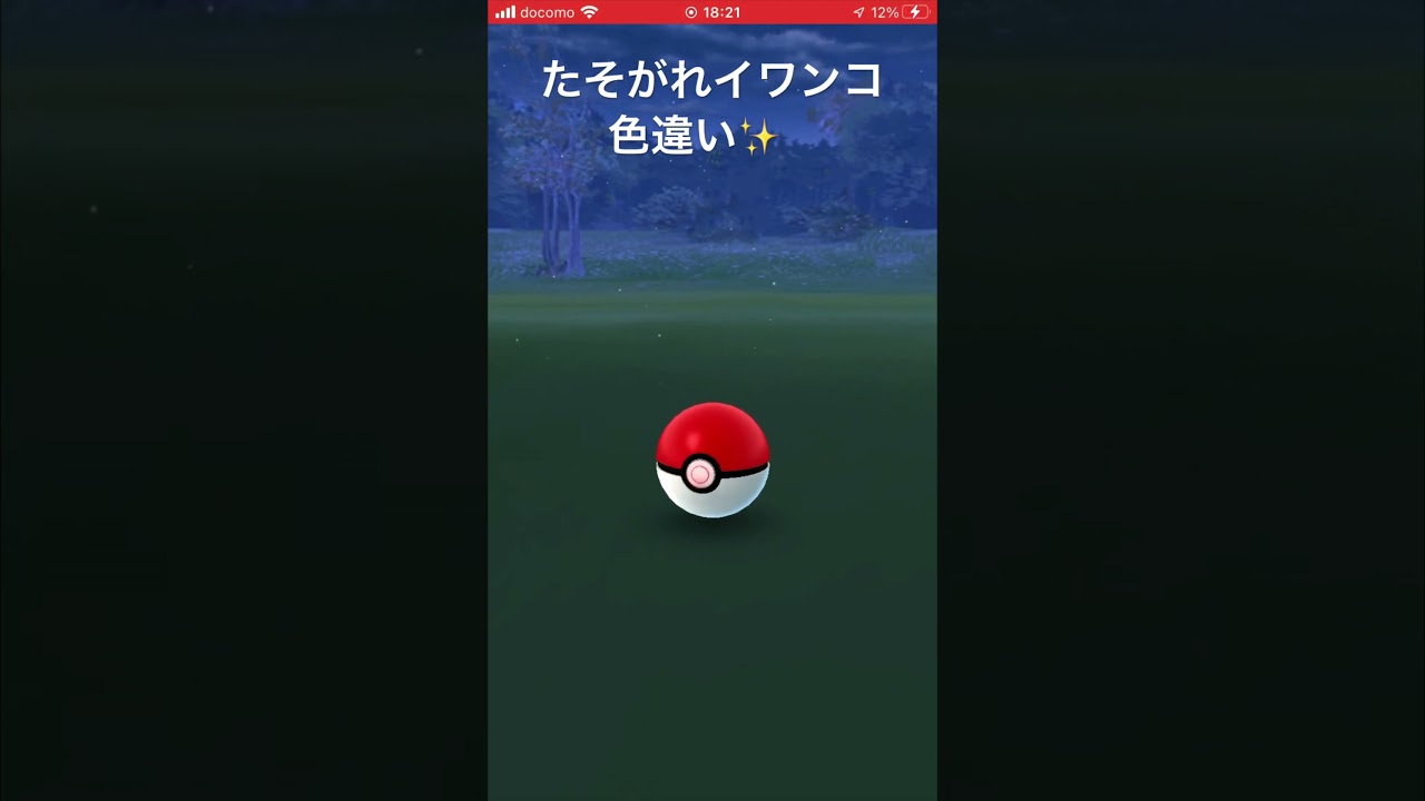 たそがれ イワンコ 色違い✨