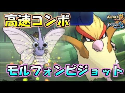高速展開モルフォンピジョット【ポケモンUSUM】