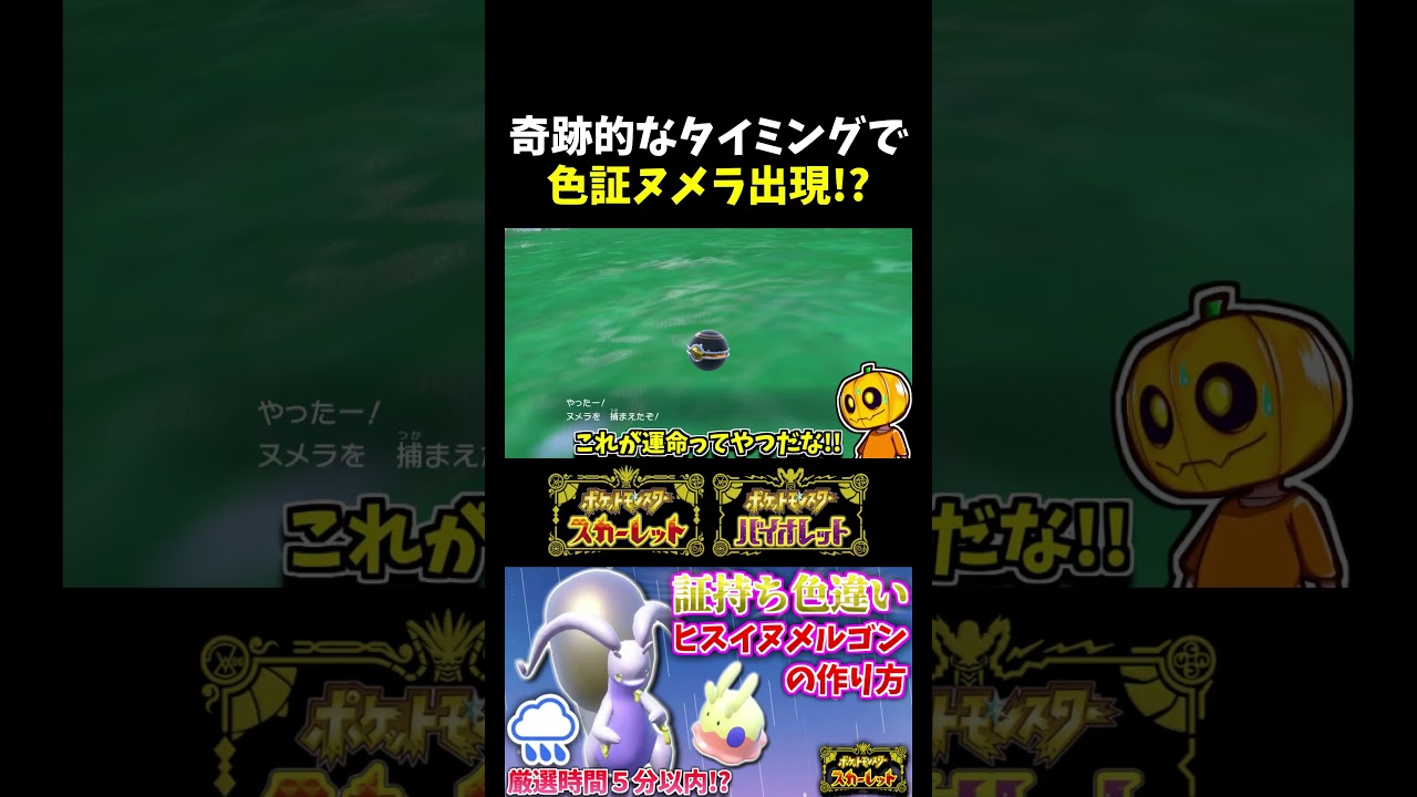 【再掲】ドンピシャな証持ち!?ヌメラの色証厳選をしてたら出現した色違いが雨の天候証持ちでしたｗ【ポケモンSV】【切り抜き】【色違いポケモン】【色違い厳選】#shorts