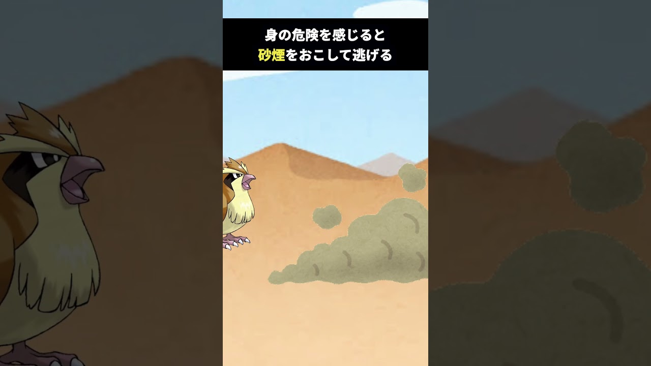 実はすごいパワーの持ち主ポッポ系統にまつわる小ネタ3選#ポケモン#雑学#アニメ#ゲーム
