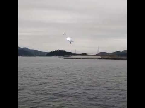 스완나 ( Swanna ) スワンナ ( 舞天鵝 )