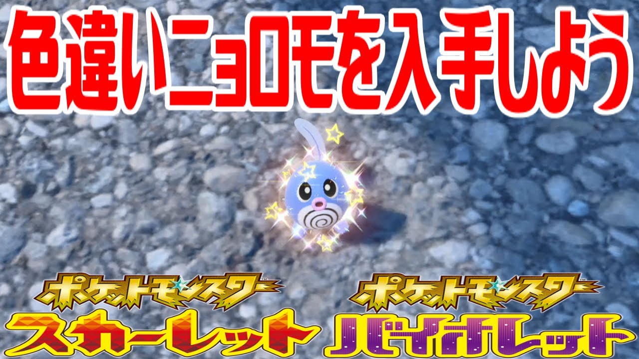 【ポケモンSV】色違いニョロモを入手しよう【ポケットモンスター スカーレット・バイオレット ゼロの秘宝 碧の仮面】Pocket Monsters