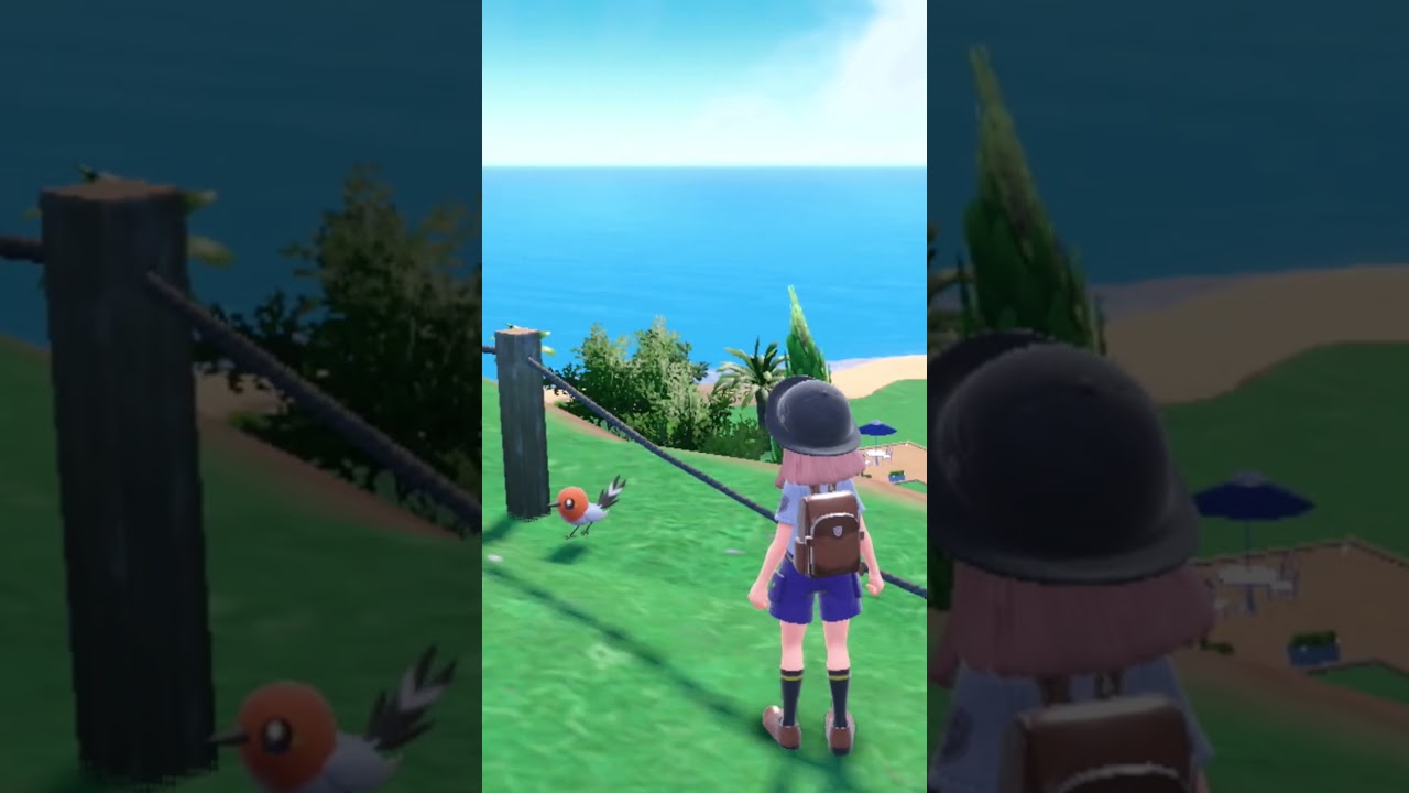 飛んでるから柵に引っかかると気がついたヤヤコマ　#shorts #ポケモンSV #音mad #どうぶつの森