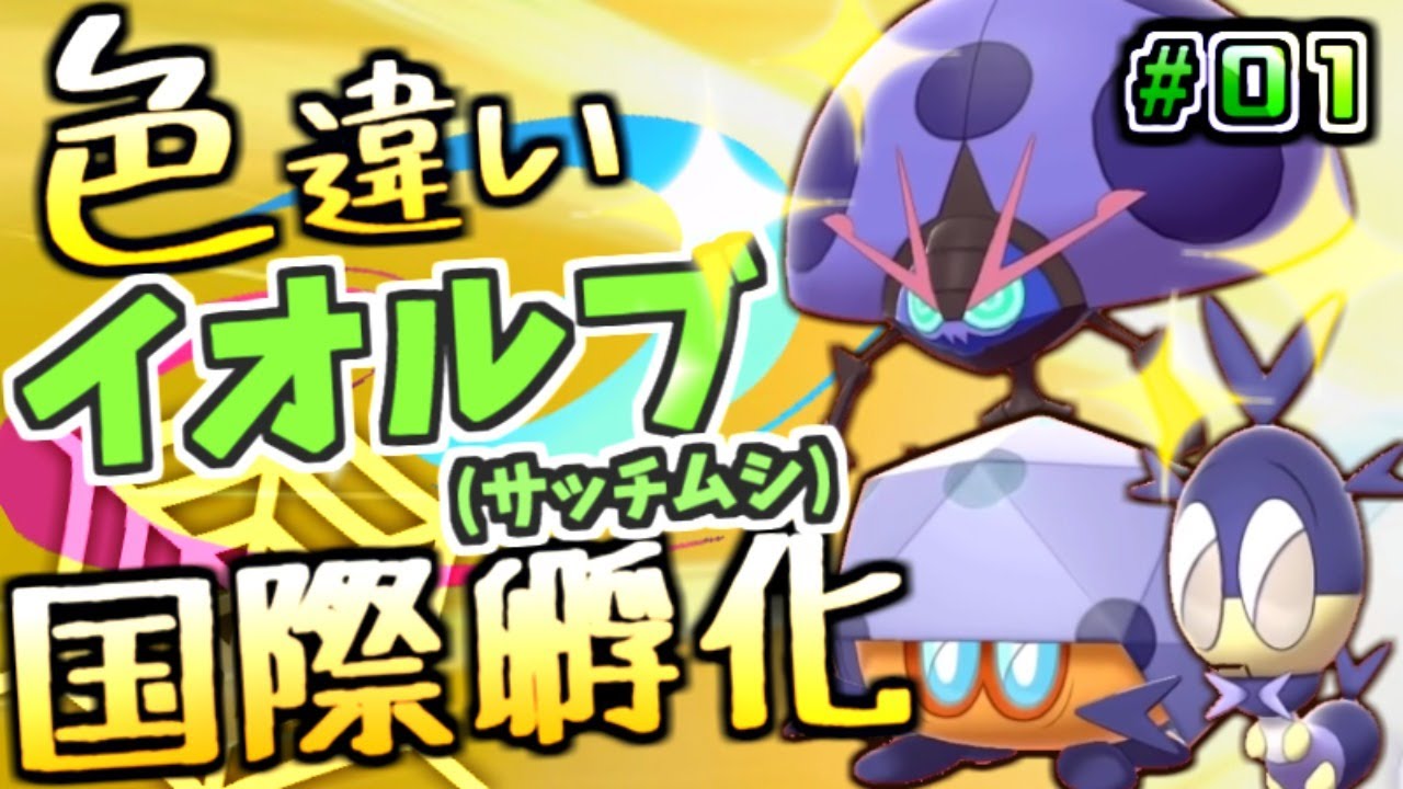【ポケモン剣盾】色違いイオルブ国際孵化！ #01【ポケットモンスター ソード・シールド】