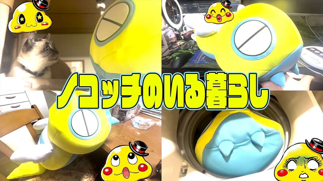 巨大ノコッチのいる暮らし【ポケモンセンター限定　ぎゅっと抱くっしょん　ノコッチ】プレゼント開封