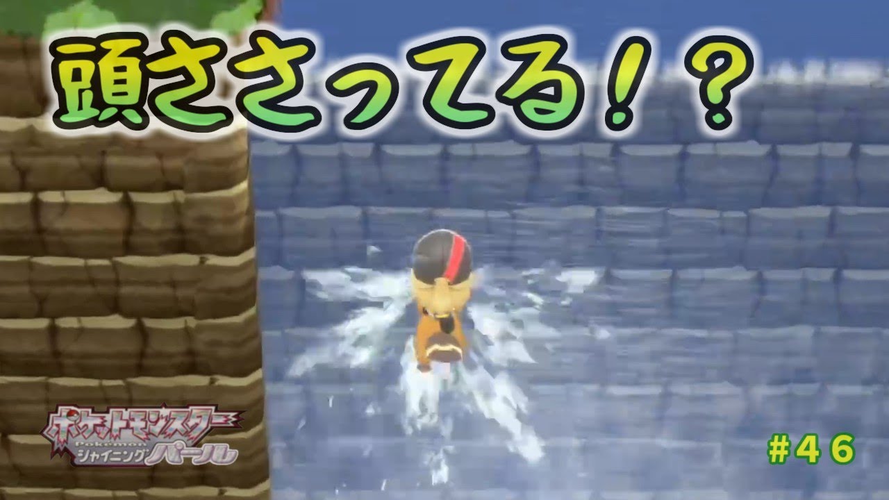 滝に頭がささってるように見えるビーダルに乗ってポケモンリーグに到着【ポケットモンスターシャイニングパールリメイク】#４６