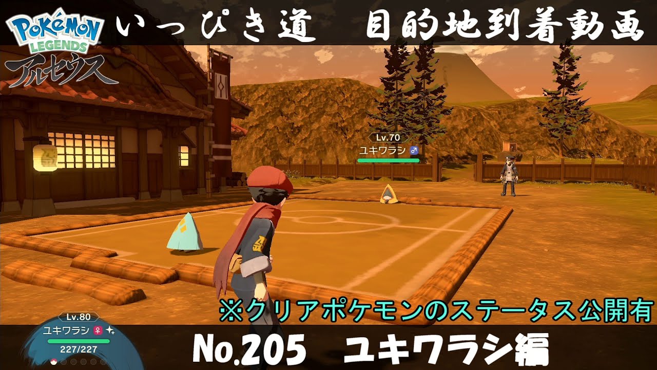 【いっぴき道攻略】No.205 ユキワラシ編【Pokémon LEGENDS アルセウス】