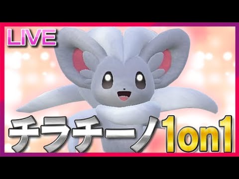 チラチーノ1on1主催視点～貴方だけのチラチーノを見せてくれ～【ポケモンSV】