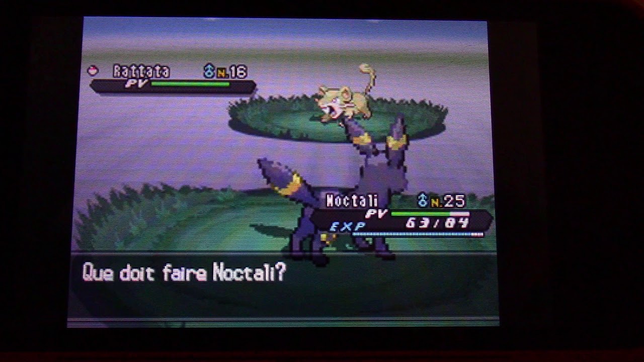 LIVE !! Rattata shiny!! Shiny Rattata !! 色違いコラッタ !! 404 random encounters