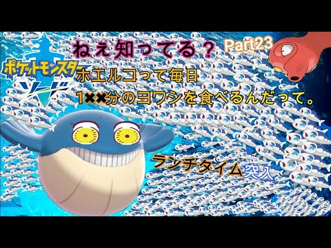 【ポケモン剣盾】ホエルコ君食べすぎだよ！？ポケットモンスターソード実況プレイPart23