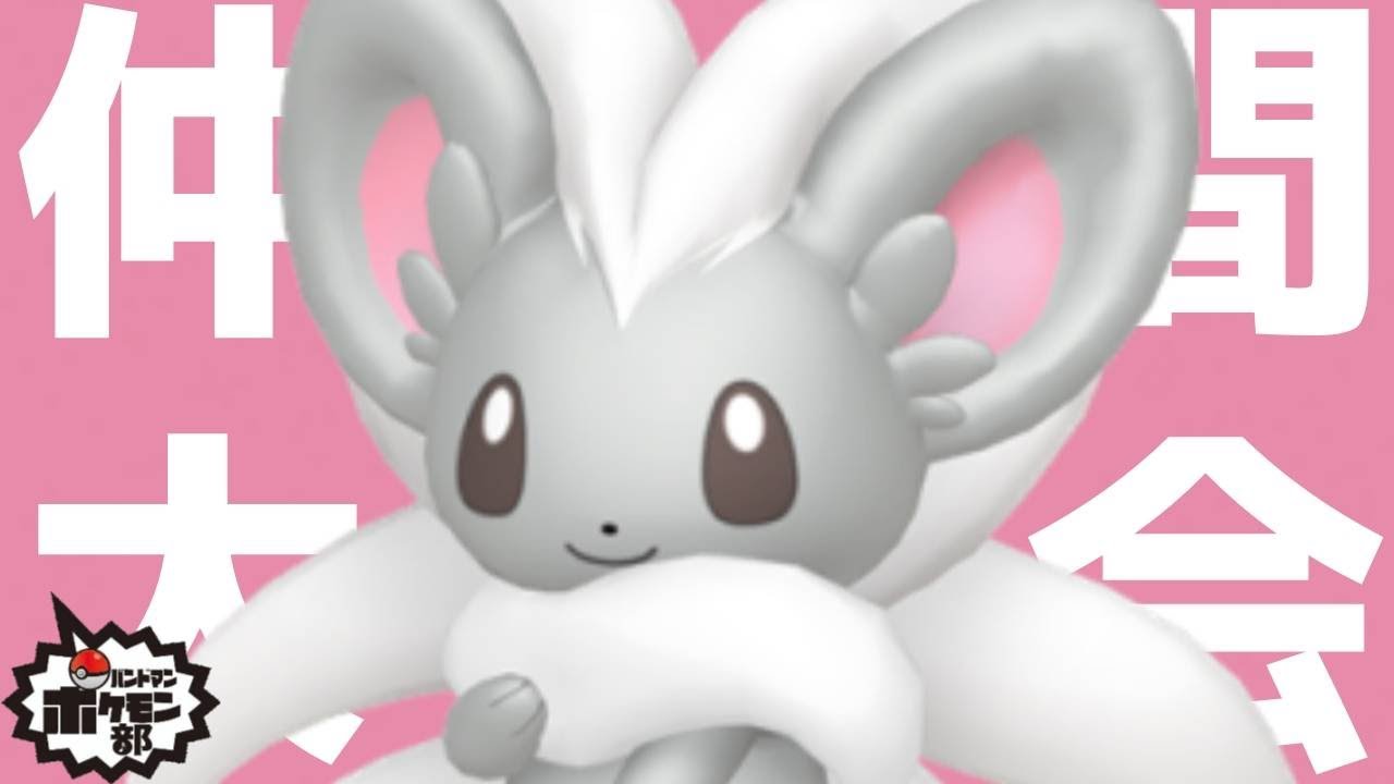 【仲間大会】シグマさんpre. ＃チラチーノ1on1 ！【ポケモンSV】【金魚】