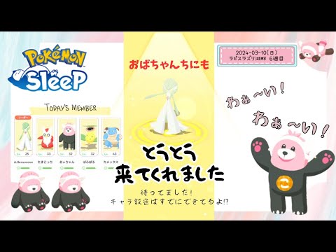 【ポケモンスリープ】こっこおばちゃんの睡眠リサーチ記録 233.234日目