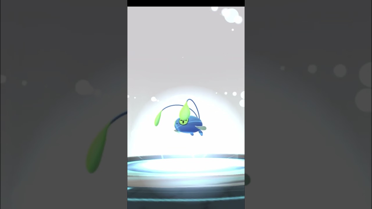 色違いのチョンチーをランターンに進化させてみた！ #ポケモンGO #pokemongo #色違い #shorts