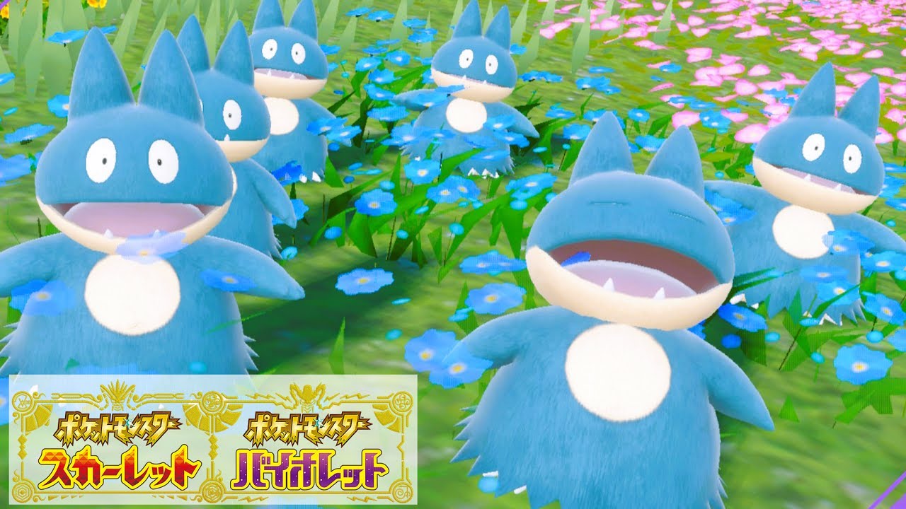 【可愛い】ゴンベ６匹に囲まれて癒されピクニック【ポケモンSV】