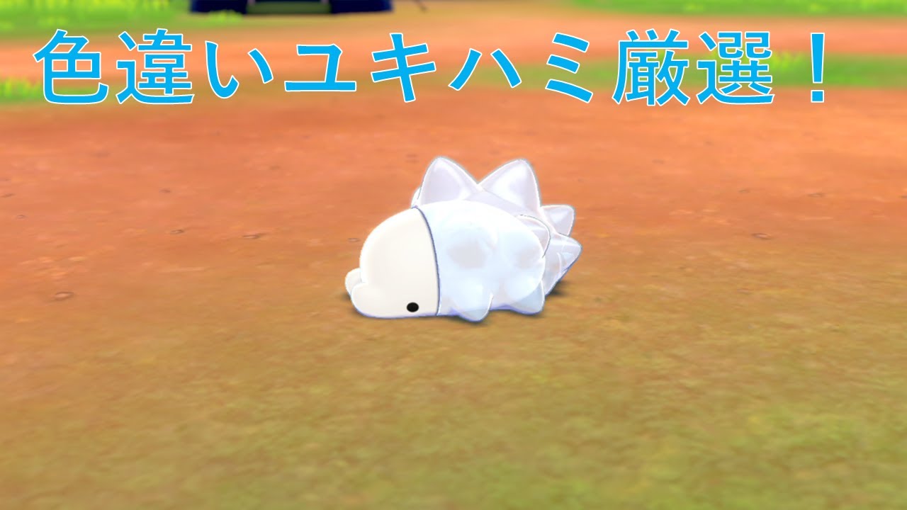 【ポケモン剣盾】色違いユキハミ厳選