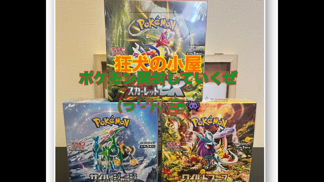 ポケモン開封していくぜ(っ'-')╮=͟͞◓👾