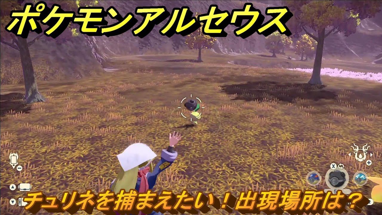 ポケモンアルセウス　チュリネを捕まえたい！出現場所は？　＃１２８　【Pokémon LEGENDS アルセウス】
