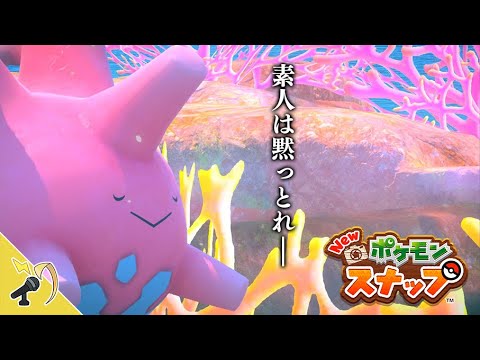 玄人のサニーゴと邂逅する。【New ポケモンスナップ】