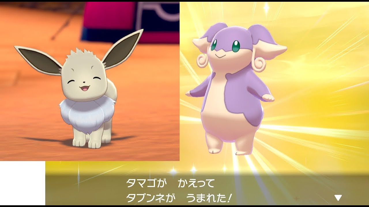 【ポケットモンスター ソード】残りのタブンネのタマゴの孵化作業とイーブイ色違いを進化させていく【実況】