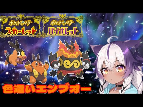 【ポケモンSV】色違いポカブ → チャオブー → エンブオー【ポケットモンスタースカーレットバイオレット】