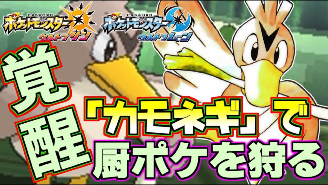 【ポケモンUSM】苦節20年…“おしょう”こと“カモネギ”が超強化!!活躍のための秘策とは【ウルトラサン/ウルトラムーン】