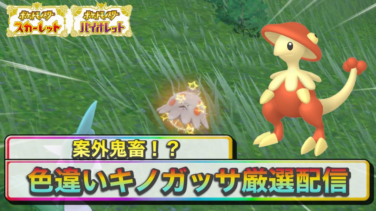 【ポケモンSV】鬼難易度！？色違いキノガッサ厳選配信 2日目