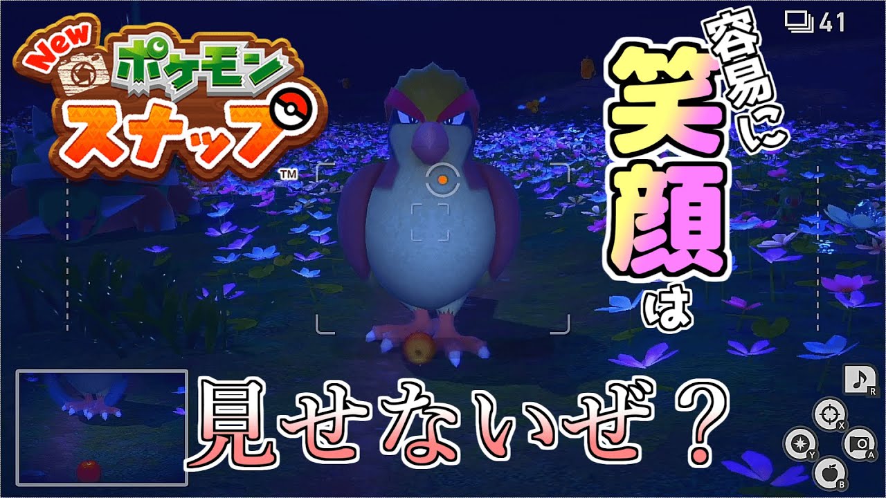 閉ざされたピジョットの心【ポケモンスナップ】