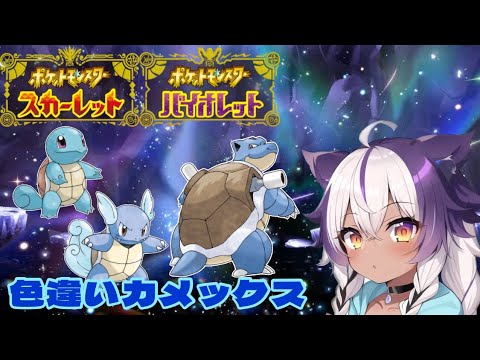 【ポケモンSV】色違いゼニガメ → カメール → カメックス【ポケットモンスタースカーレットバイオレット】