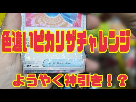 【シャイニートレジャーex】神引き！？色違いのピカチュウと神々しいリザードンを追い求めた結果【色ピカリザチャレンジ】【第n回目】