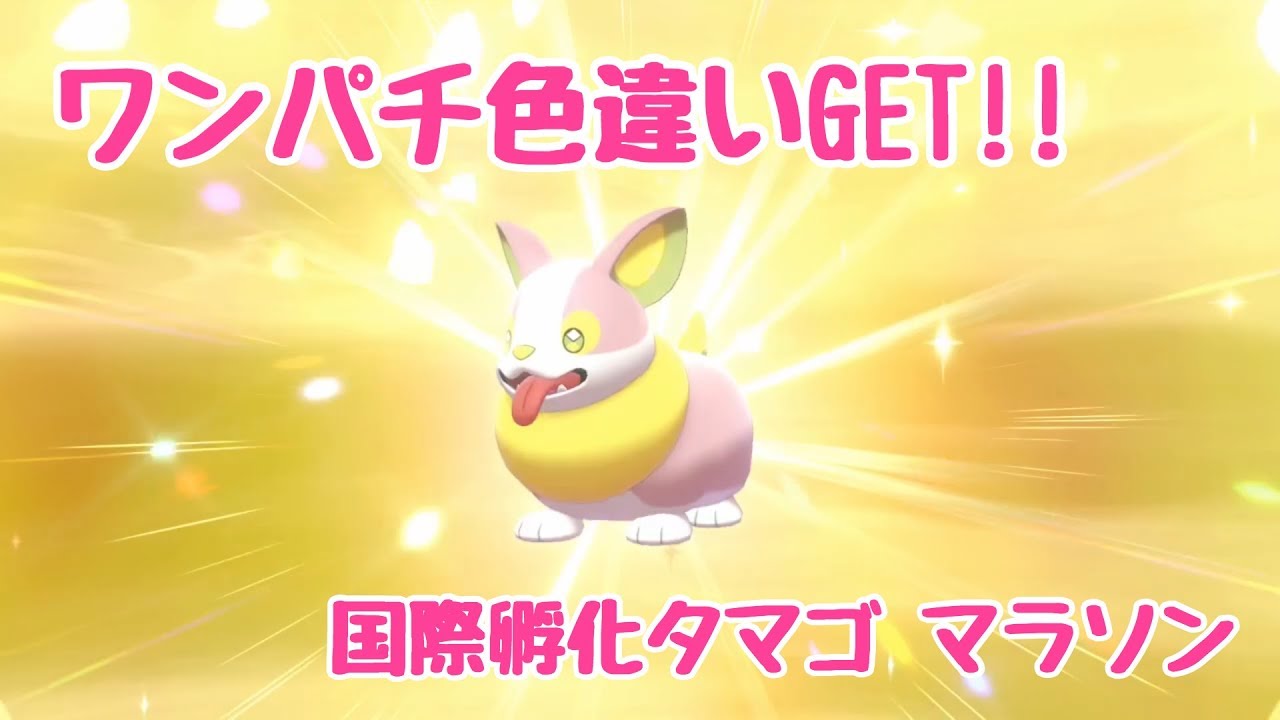 【ワンパチの色違いをGET！】国際孵化タマゴマラソン #001【ポケモン剣盾】