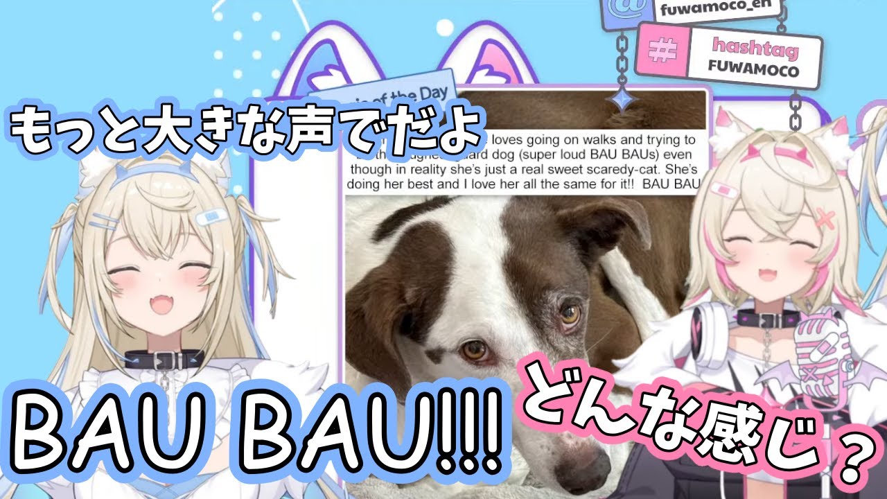 ひたすらBAU BAUするかわいいモココと声量で妹を負かすフワワ【ホロライブ切り抜き】