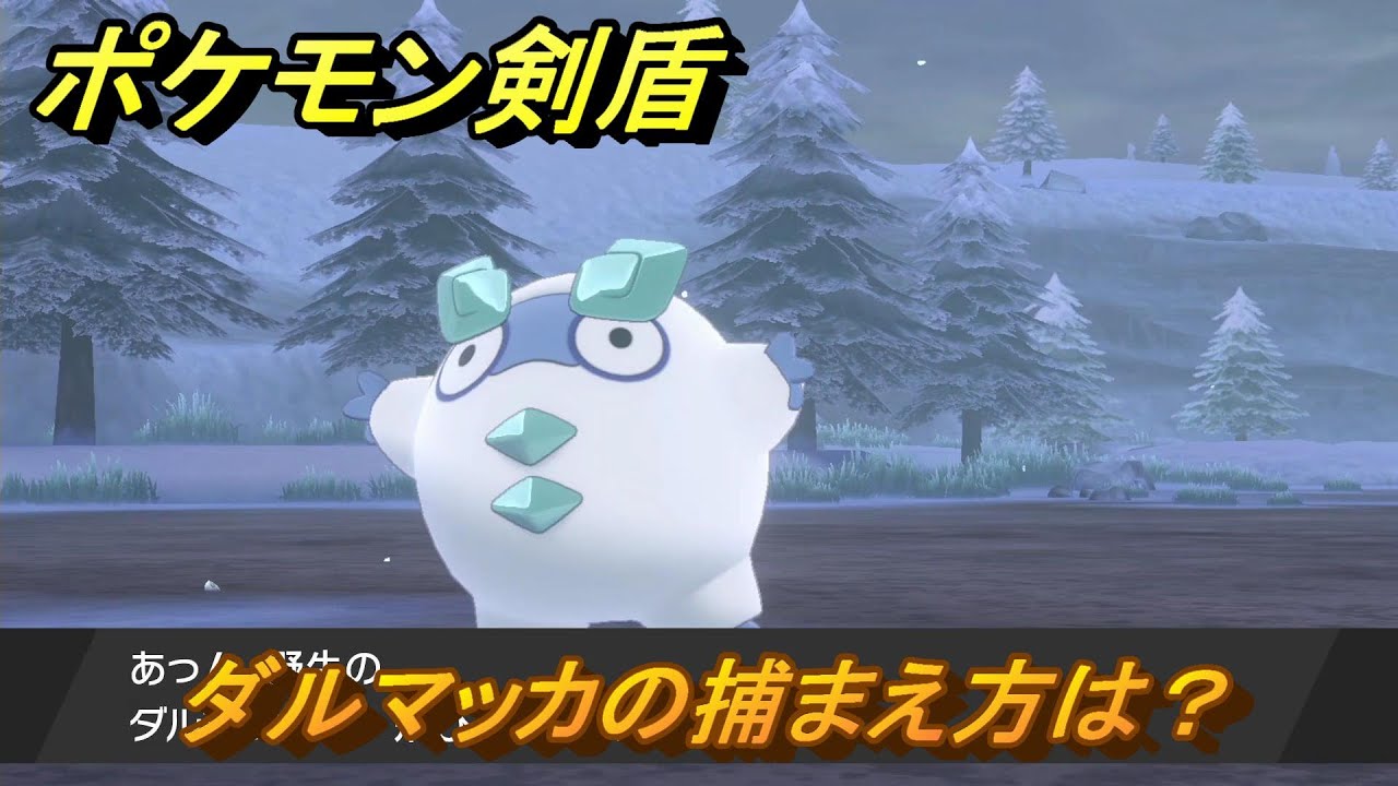 ポケモン剣盾　ダルマッカの出現場所は？オススメの場所は？天気は？ポケモン図鑑コンプへの道！　最新版【ポケモンソード・シールド】