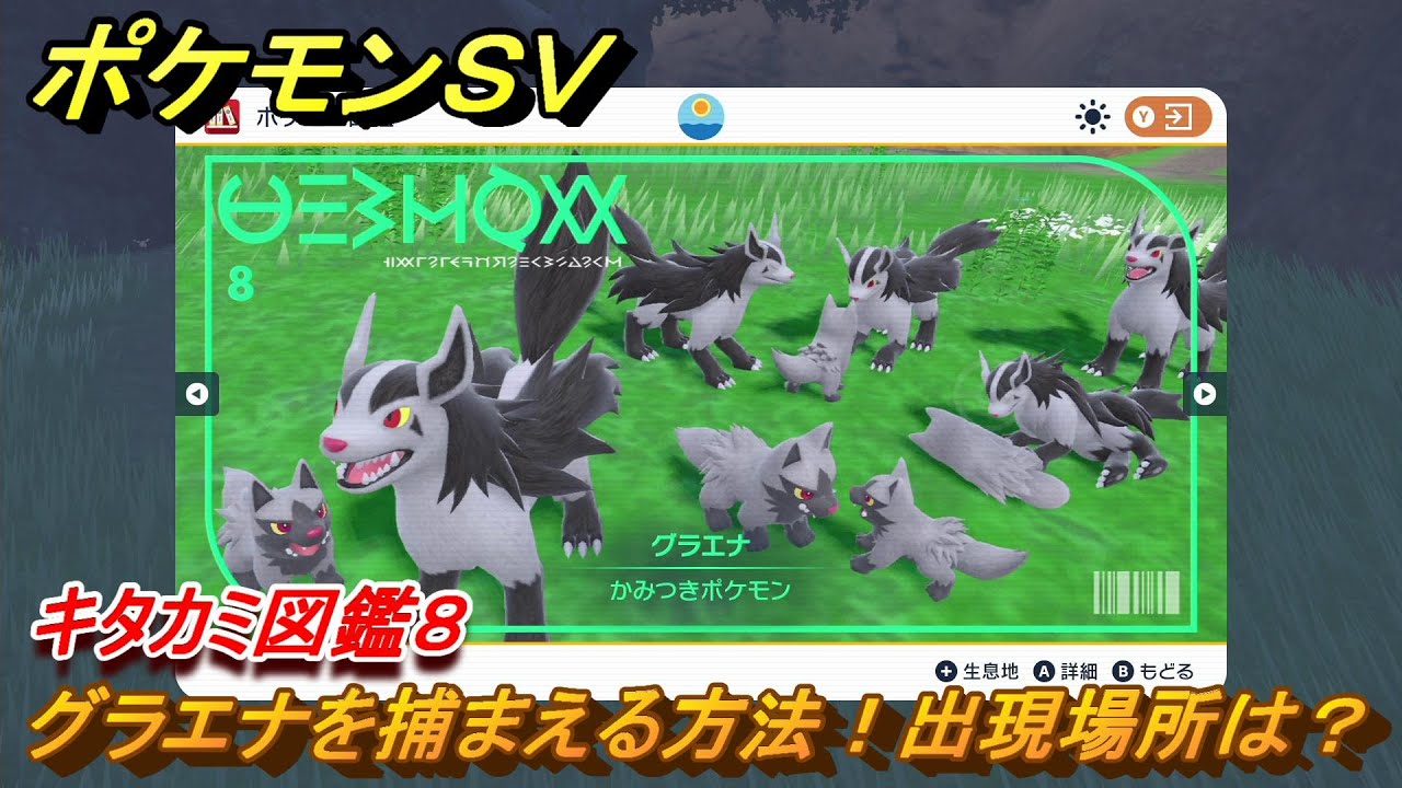 ポケモンＳＶ　グラエナを捕まえる方法！出現場所は？　キタカミ図鑑８　ポケモン図鑑を完成させよう！　＃６６　【DLCゼロの秘宝　碧の仮面・藍の円盤】