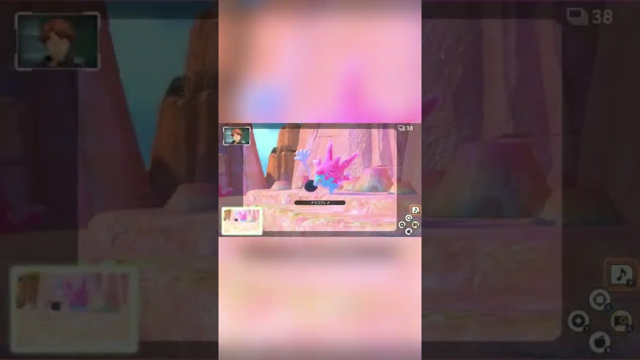 【Newポケモンスナップ NEW POKÉMON SNAP】サニーゴとナマコブシがお見送りしてくれる動画 #shorts
