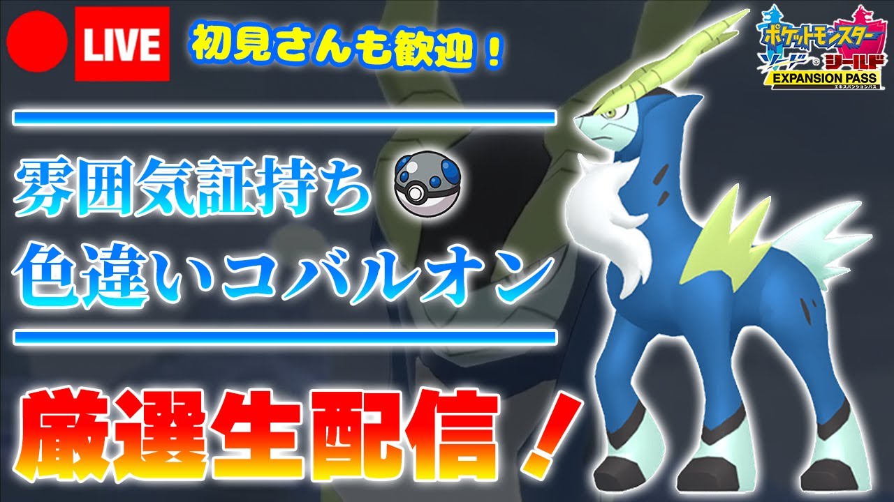 【ポケモン剣盾】ヘビボ入り色証コバルオンの為に決心した俺を讃えてくれ
