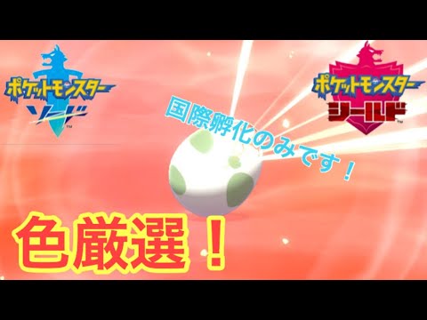 [ポケモン剣盾]ヒドイデ色違い厳選！！孵化あまり配布します。（国際孵化）