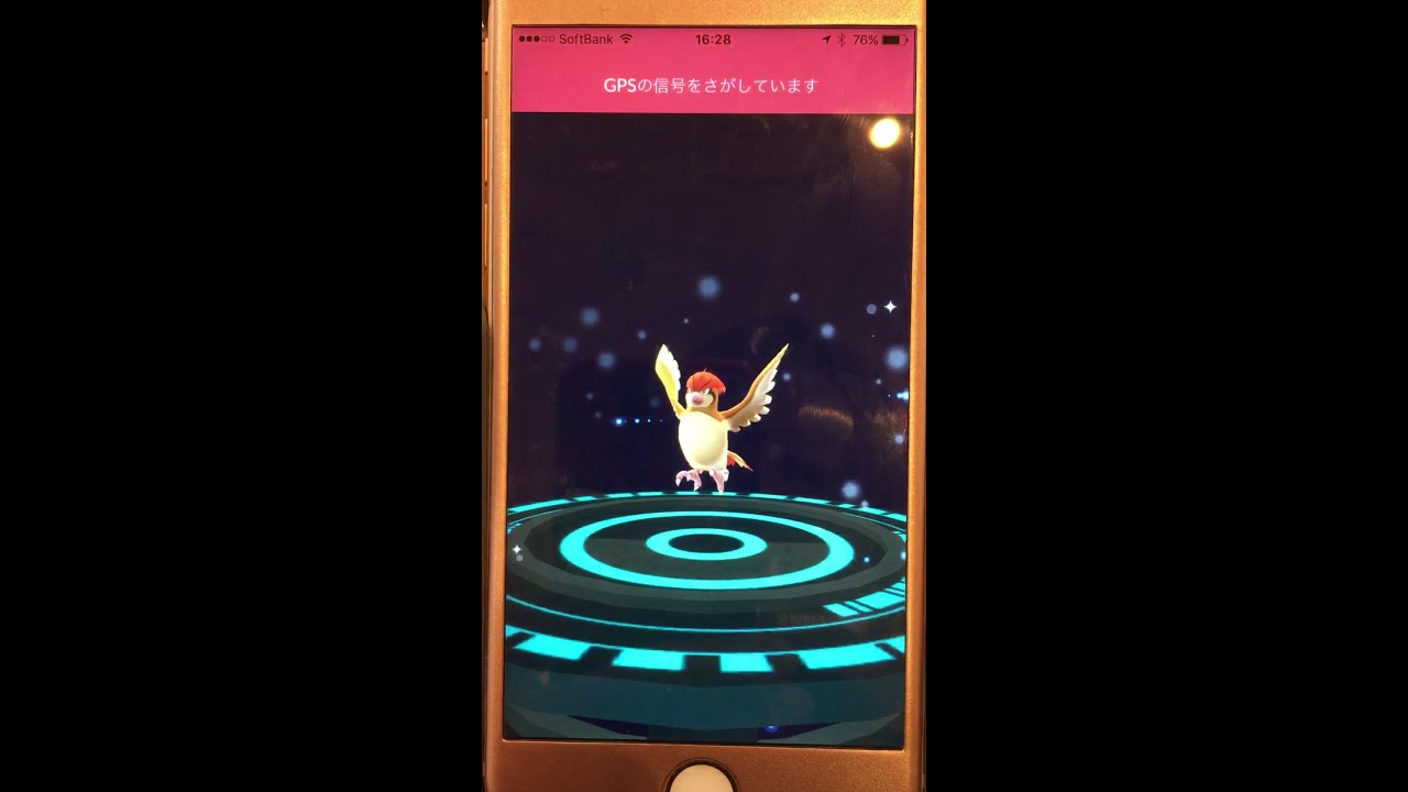 ポケモンGO 進化「ポッポ→ピジョン→ピジョット」