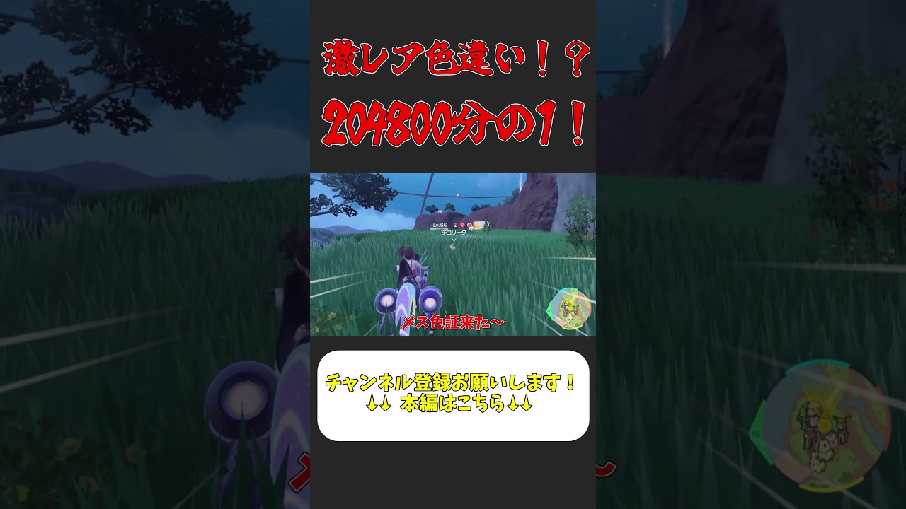 メス感情証！？奇跡のチコリータ厳選！ #ポケモンsv色違い #ポケモンゆっくり動画