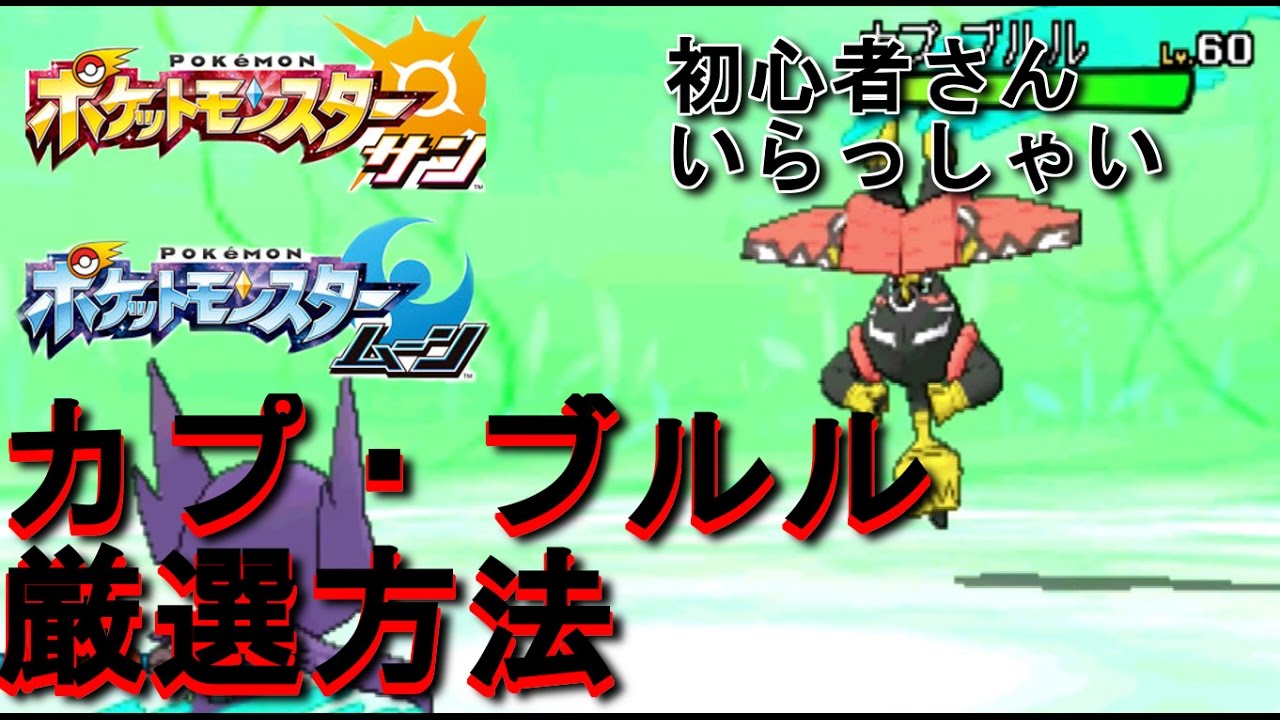 【ポケモンSM】カプ・ブルル厳選方法【変則回】