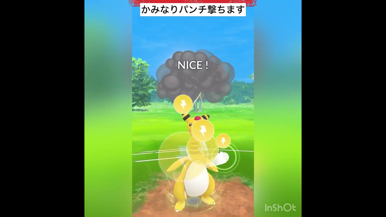 タチフサグマ使ってみた‼️Aミュウツーもやっぱり強い💨