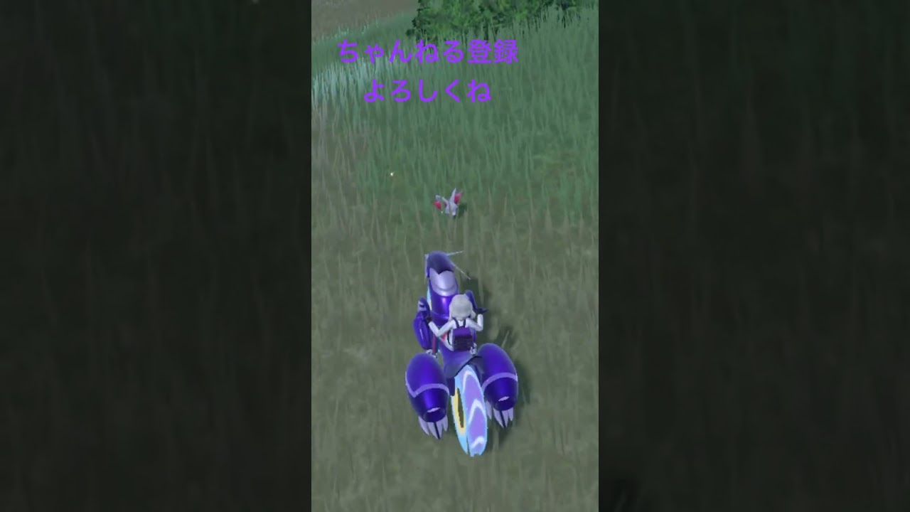 色違いフォッコ発見！オスだった #ポケモンsv #ポケモン25周年 #ポケモン #ポケモン151 #gameplay #pokemon #ポケットモンスター