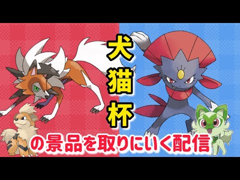 犬猫杯にむけて景品を取りにいく。あとIDを作成する配信　#犬猫杯