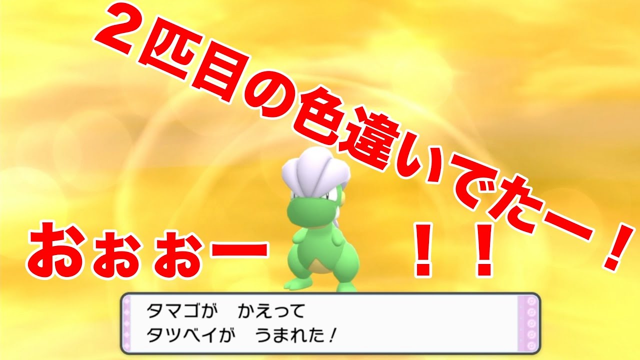 タツベイの色違いでたー！！！【ポケモンダイパリメイク】