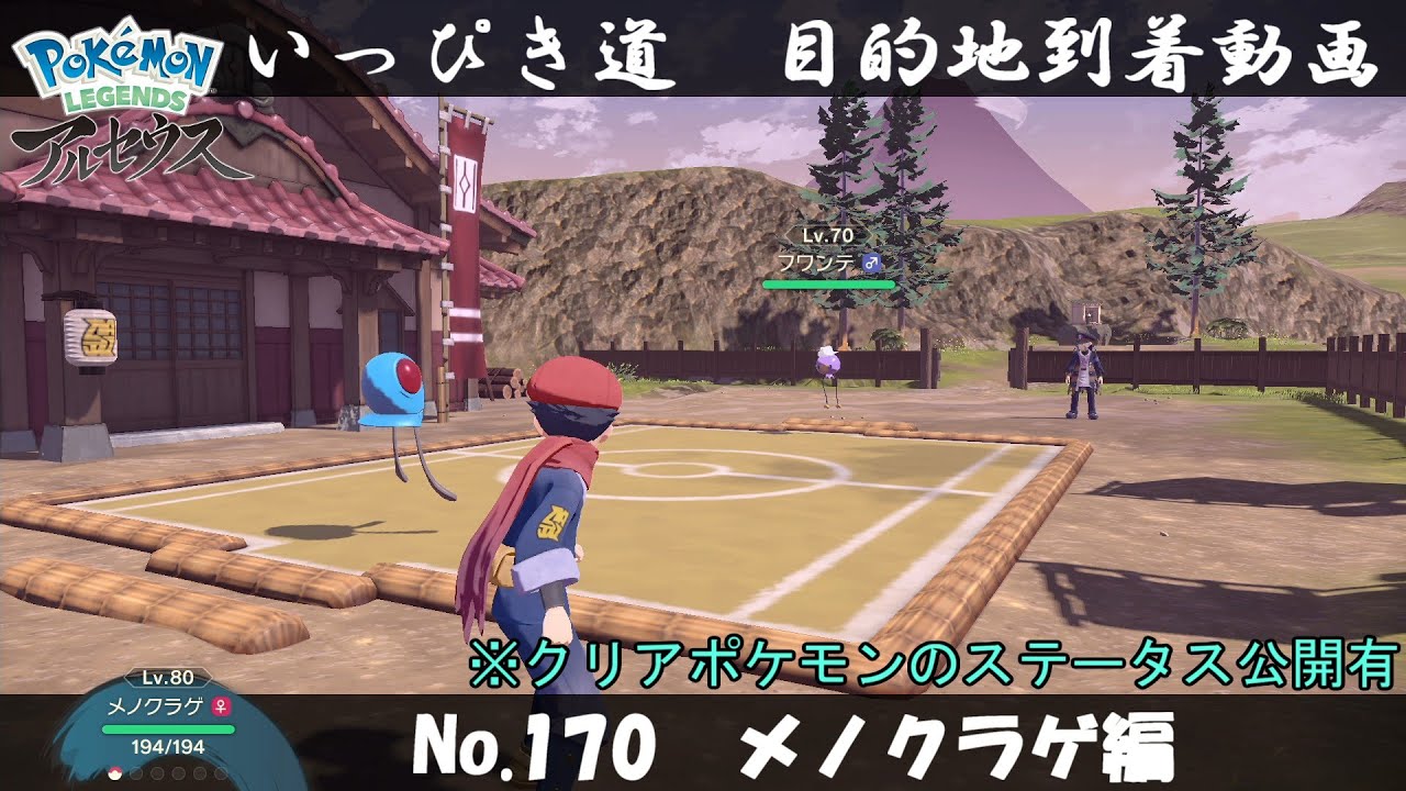 【いっぴき道攻略】No.170 メノクラゲ編【Pokémon LEGENDS アルセウス】
