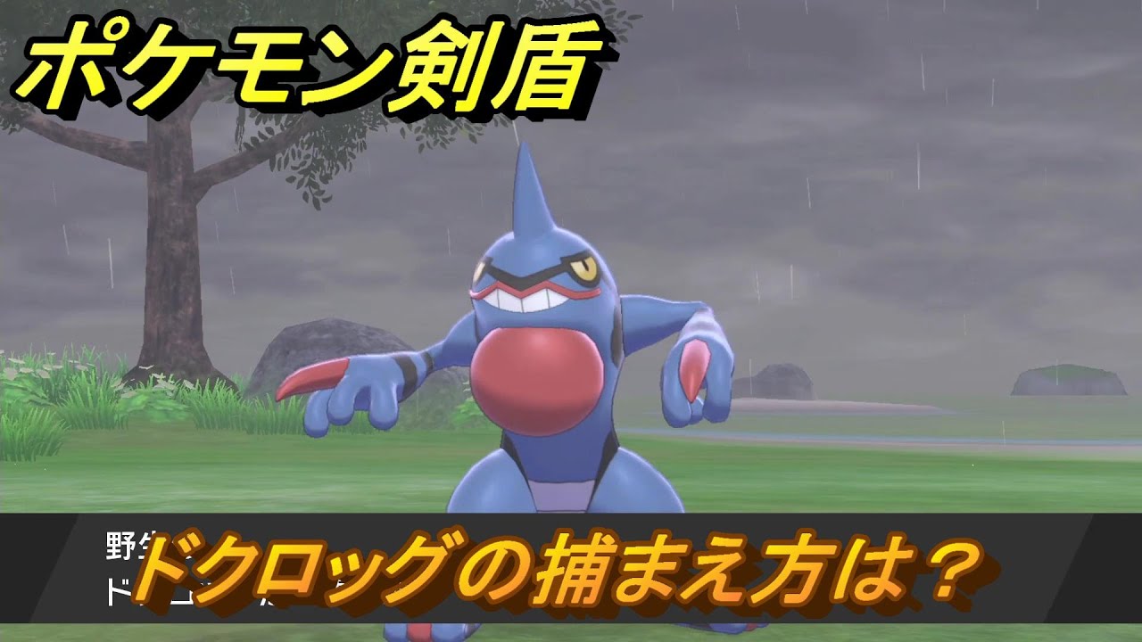 ポケモン剣盾　ドクロッグの出現場所は？オススメの場所は？天気は？ポケモン図鑑コンプへの道！　最新版【ポケモンソード・シールド】