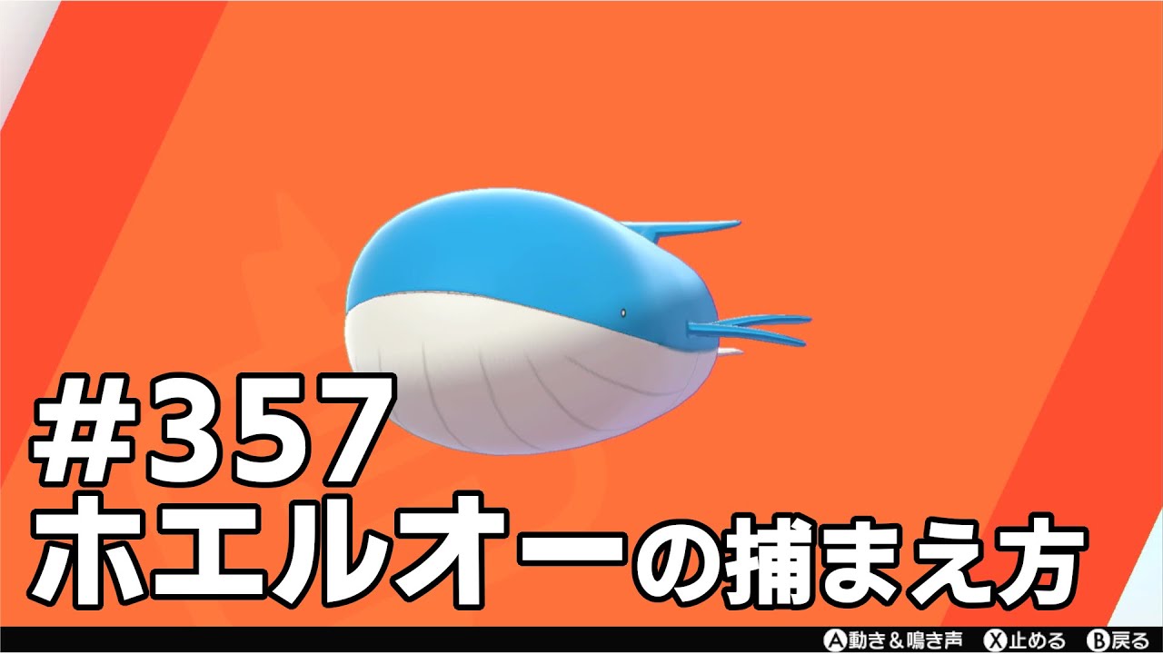 ホエルオーを探している方に見てほしい動画