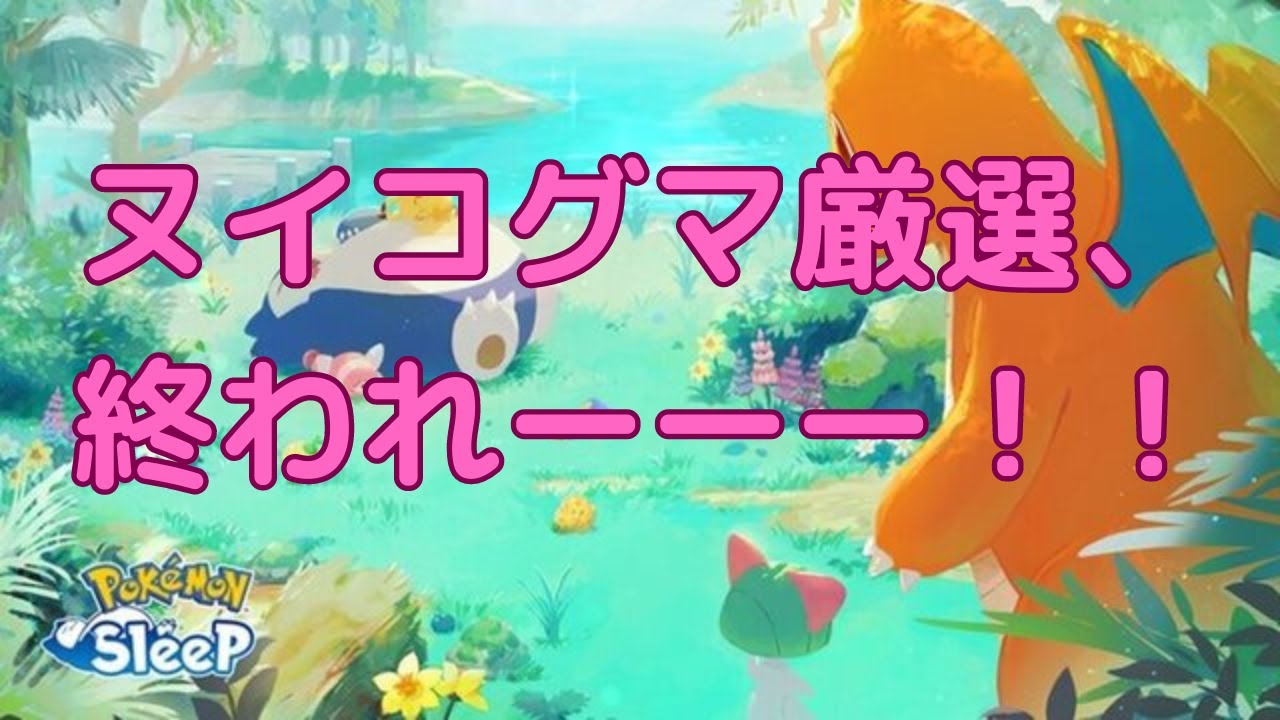 ヌイコグマ厳選終われ！！！