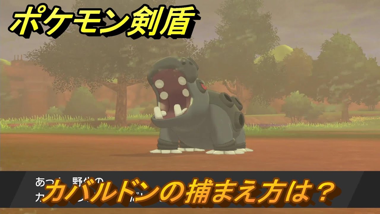 ポケモン剣盾　カバルドンの出現場所は？オススメの場所は？天気は？ポケモン図鑑コンプへの道！　最新版【ポケモンソード・シールド】