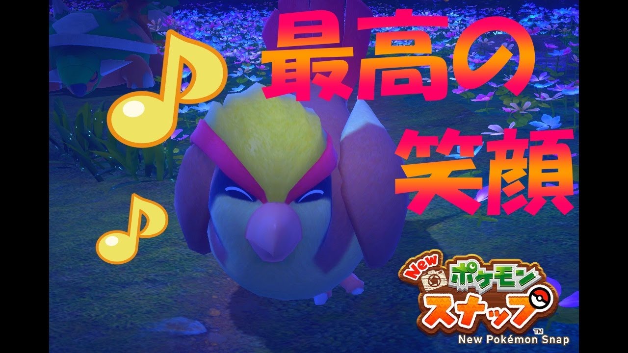 【Newポケモンスナップ】　＃１　ピジョット解説